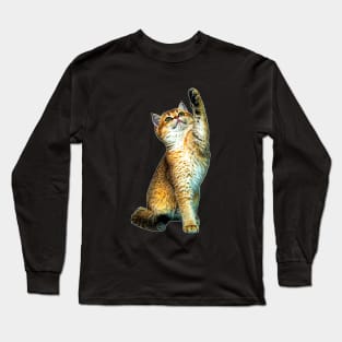 Kitten Playing Long Sleeve T-Shirt